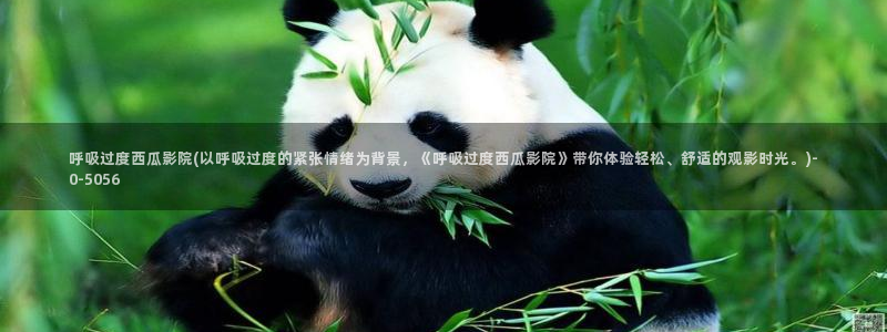 西瓜高清在线观看