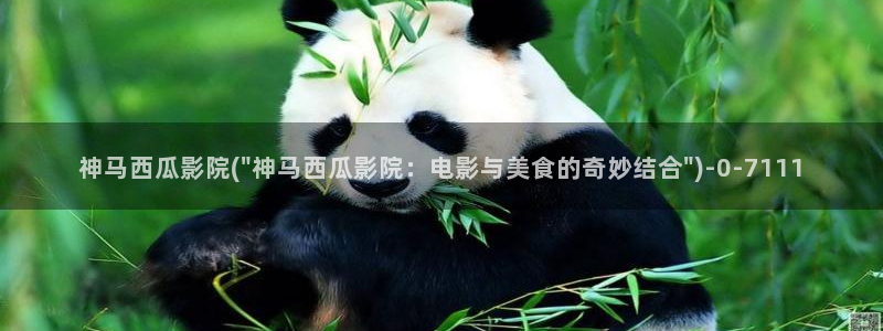 沧元图西瓜影院