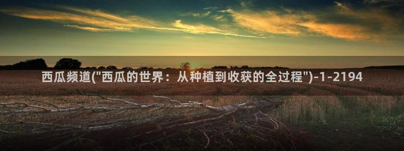 电视剧秋蝉免费全集西瓜影院