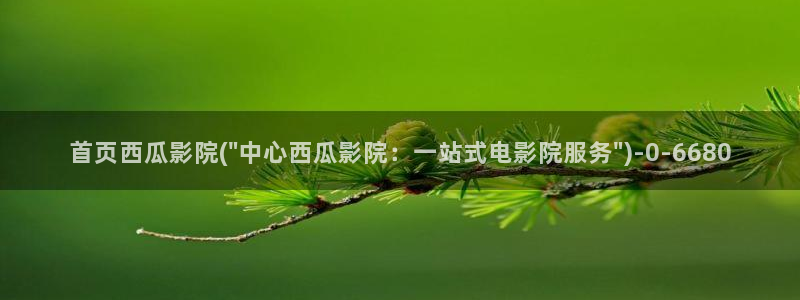 西瓜电影官网在线观看