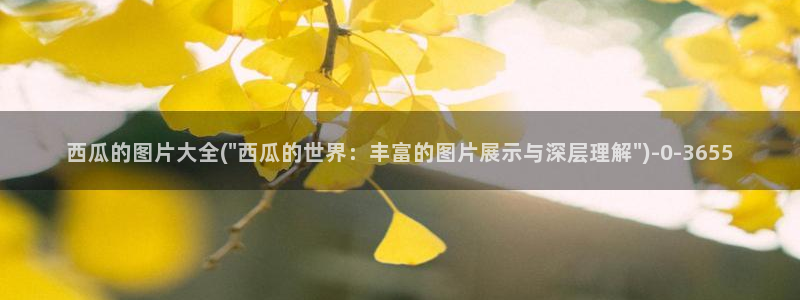 西瓜影院在线免费观看影片