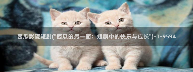 西瓜电影免费看完整版