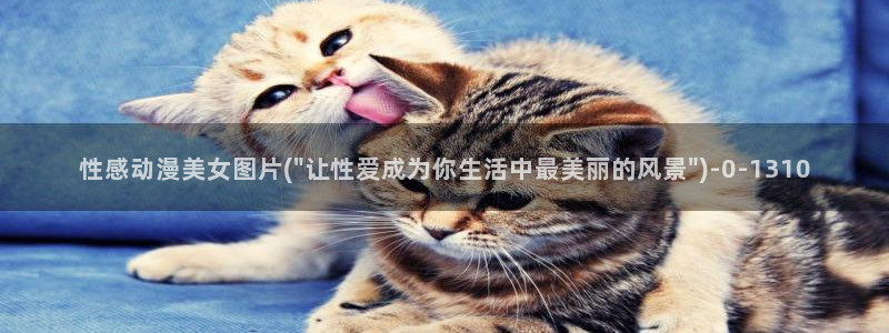 z动漫