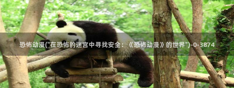 爱动漫网