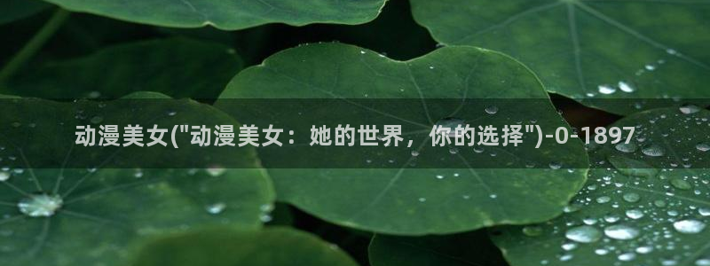 乐乐动漫网