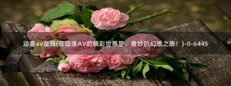 黑暗圣经动漫